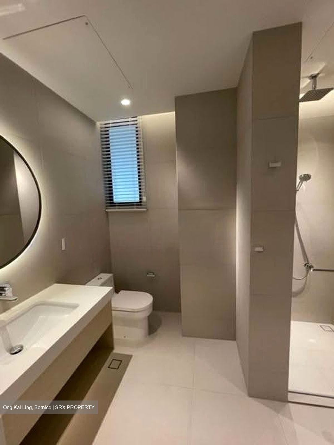 The Colonnade (D10), Condominium #619519021